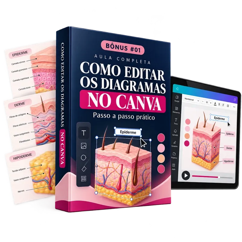 Aula Completa: Como Editar Os Diagramas No Canva